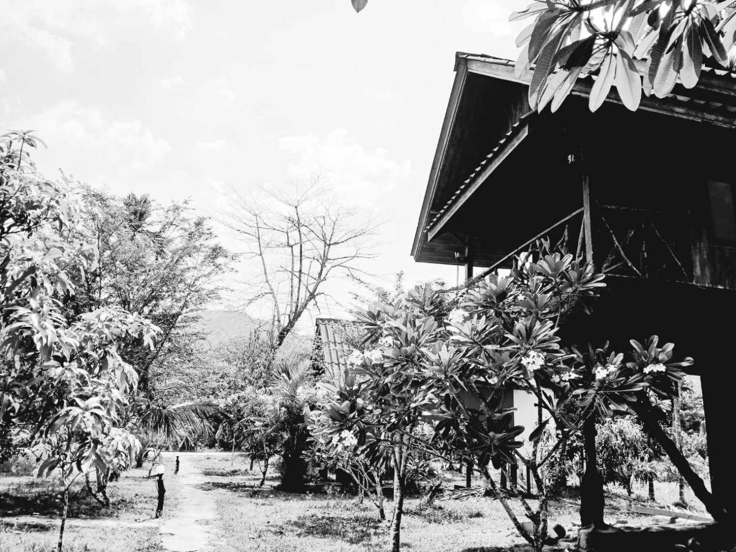 Hotel Bamboo House Khao Sok National Park Esterno foto