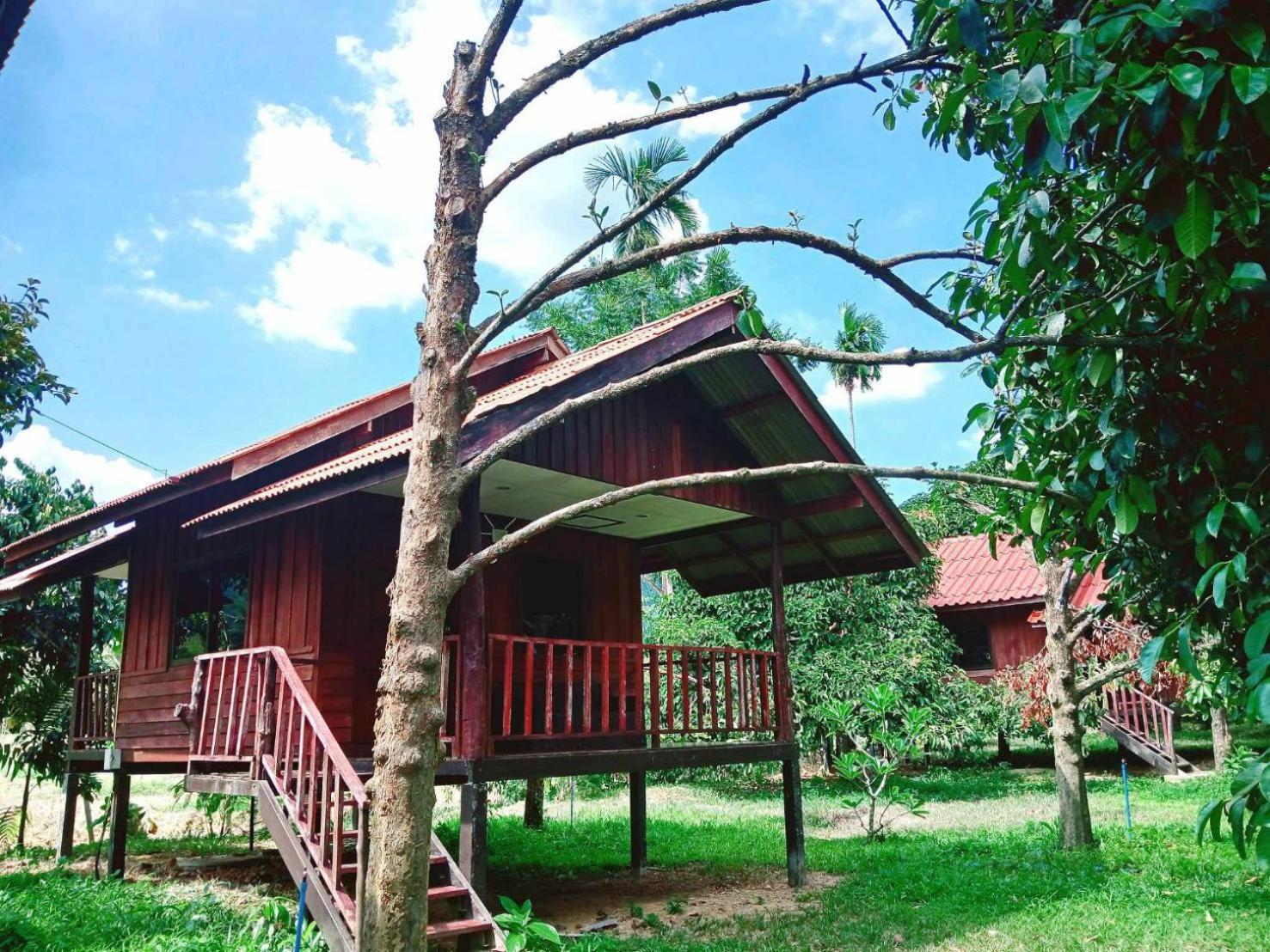 Hotel Bamboo House Khao Sok National Park Camera foto