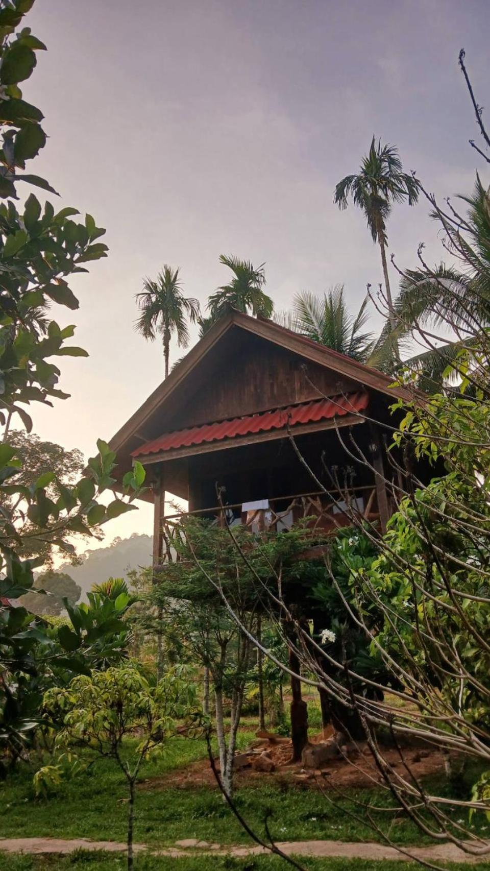 Hotel Bamboo House Khao Sok National Park Esterno foto