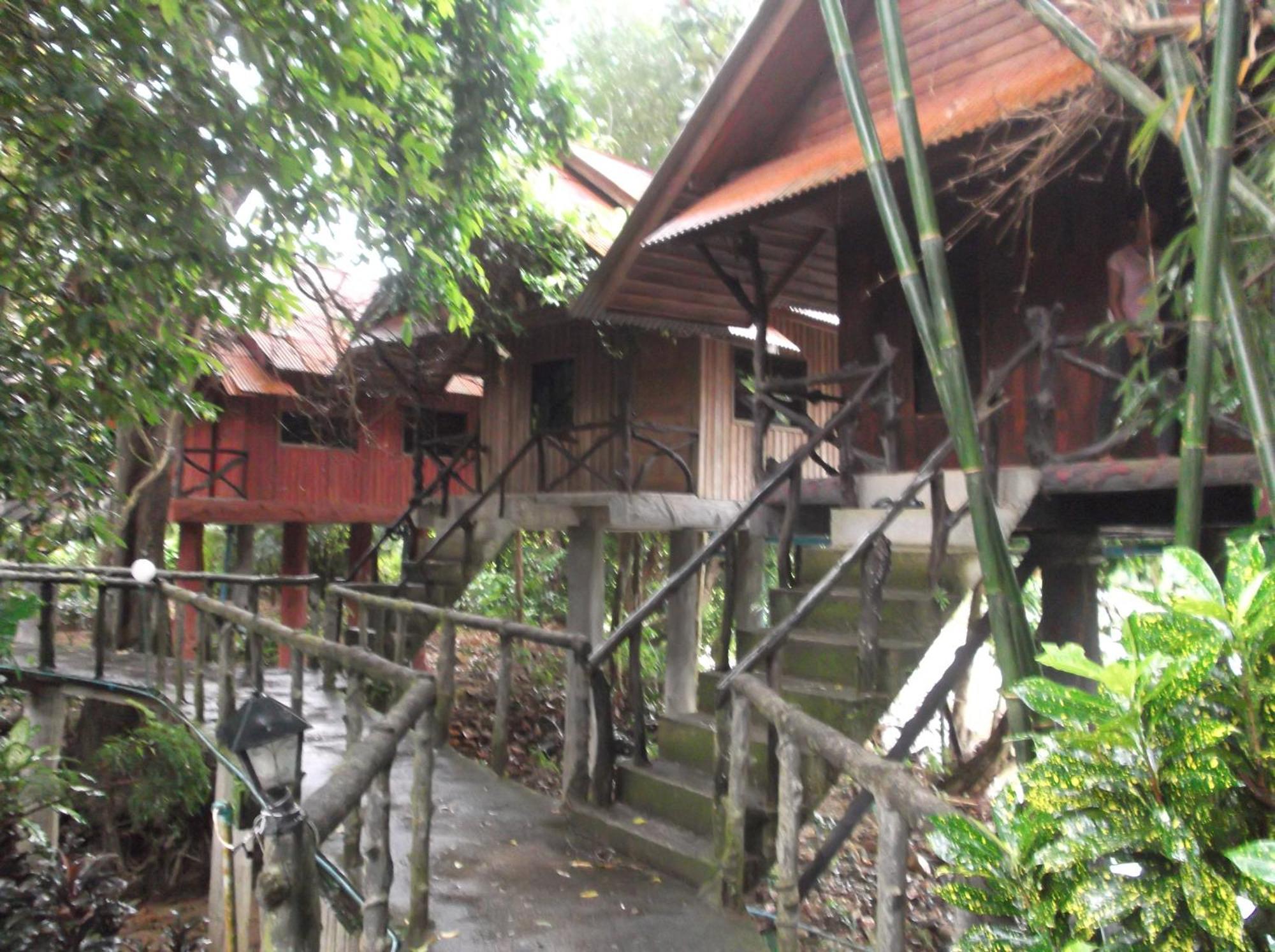 Hotel Bamboo House Khao Sok National Park Esterno foto